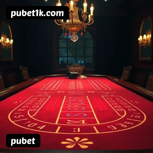 Termos e Condições Transparentes pubet